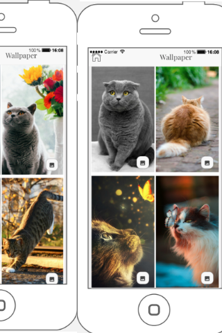 Lighting Cat Wallpaper