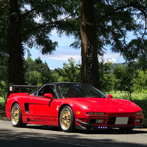 NSX NA1