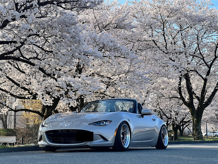 ロードスターのドライブ・桜と愛車・サクラと愛車・車高調整に関するカスタム事例の投稿画像1枚目