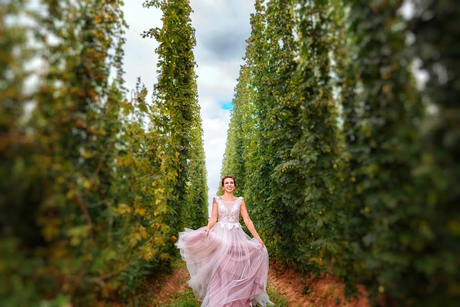 Fotógrafo de casamento Olga Nikolaeva (avrelkina). Foto de 19 de setembro 2017