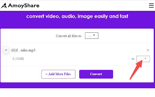 AmoyShare File Converter