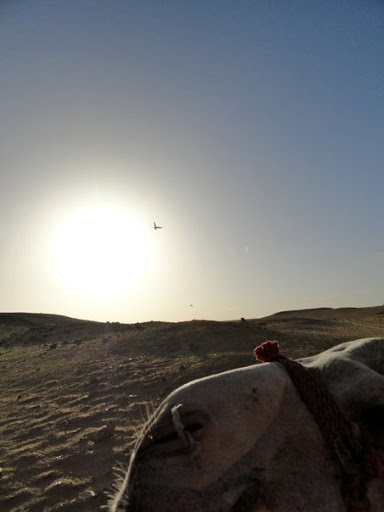 The Pyramids of Giza Egypt 2010