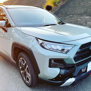 RAV4 MXAA54