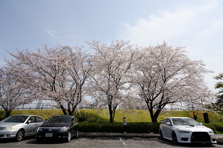ランサーエボリューションの桜と愛車・桜・ドライブ・138タワーパーク・138タワーに関するカスタム事例の投稿画像3枚目