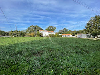 terrain à Saint-Maixent-sur-Vie (85)