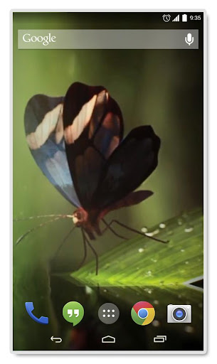 Butterfly 3D Live Wallpaper