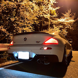 M6 クーペ