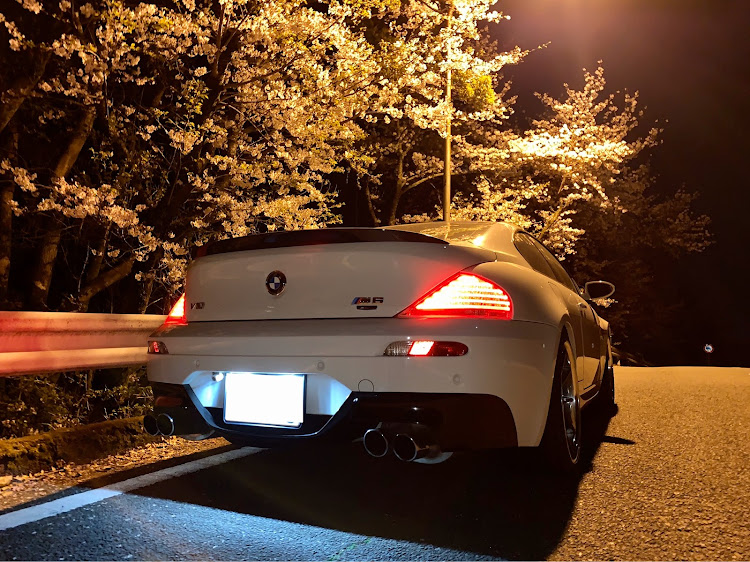 M6 クーペの桜と愛車・夜桜・E63 M6・bmw・ドライブに関するカスタム事例の投稿画像1枚目