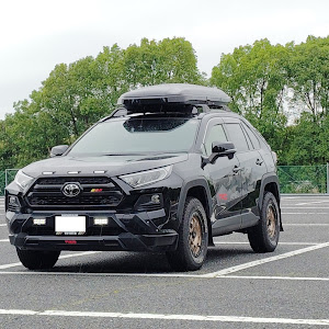 RAV4 MXAA54