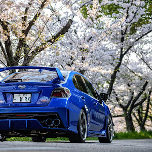 WRX STI VAB