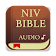 Bible Audio, NIV icon