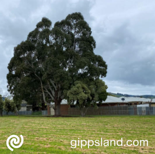 The Former Yarragon Primary School Site Master Plan applies to the Crown Land areas known as Lot 2001 on Plan PP5898 (Volume 12254 Folio 090), it is surrounded by laneways along the northern and southern boundaries and roads along the eastern and western boundaries