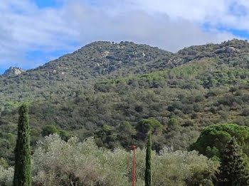 terrain à Laroque-des-Albères (66)