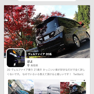 ヴェルファイア 20系