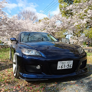 RX-8