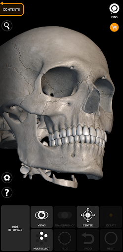 Screenshot Skeleton | 3D Anatomy