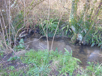 terrain à Queyssac (24)