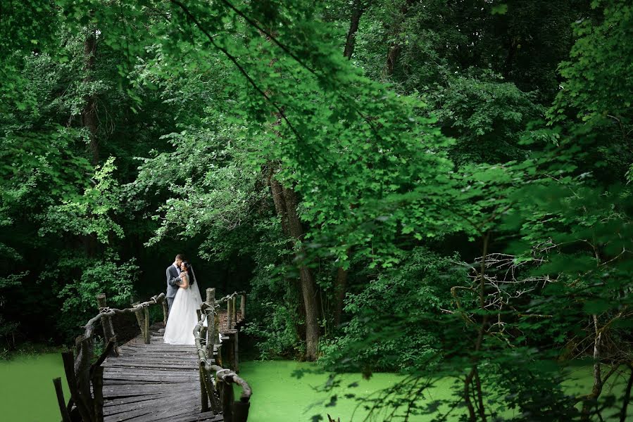 Fotógrafo de casamento Olga Melikhova (olgamelikhova). Foto de 15 de março 2018