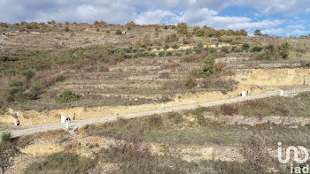 terrain à Saint-Rome-de-Tarn (12)