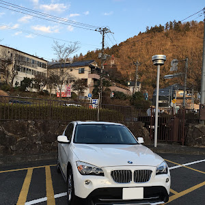 X1 xDrive 25i