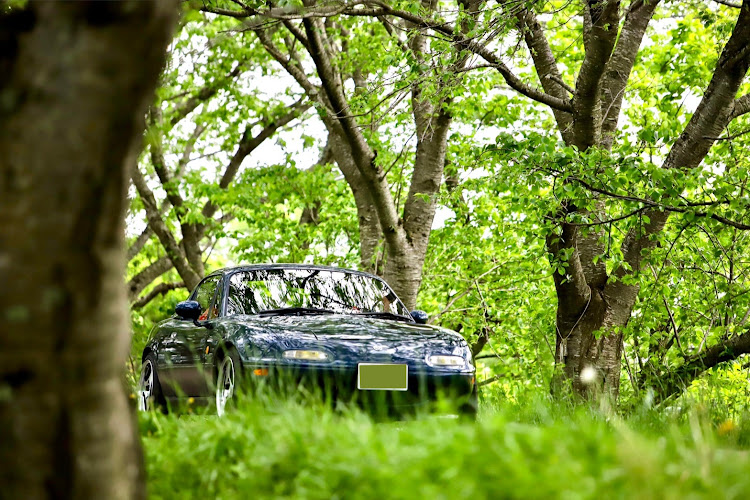 ロードスターのB2リミテッド・ニコニコNikon・さくらのトンネル・すっかり葉桜・地底ショットに関するカスタム事例の投稿画像2枚目