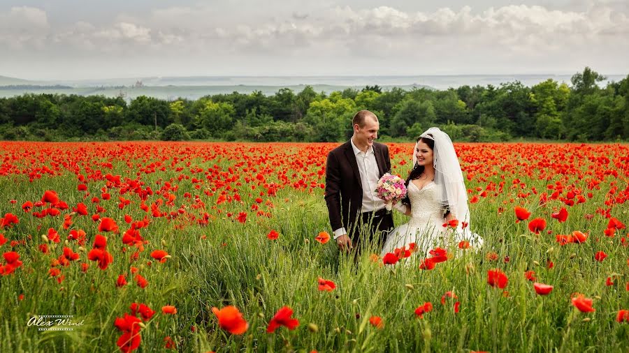 Hochzeitsfotograf Aleksandr Kuznecov (wind). Foto vom 23. Juli 2018