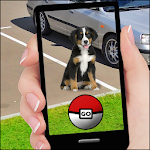 Cover Image of 下载 Pocket Dogs GO 1 APK