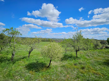 maison à Cubjac-Auvézère-Val d'Ans (24)