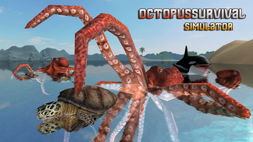 Octopus Survival Simulator