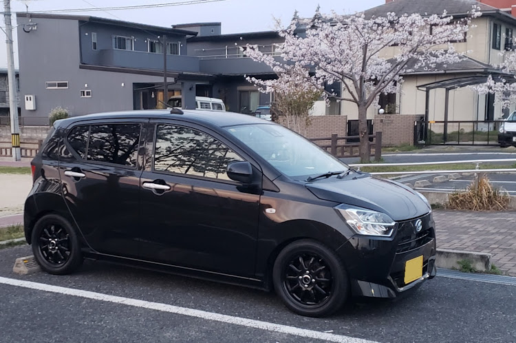 ミライースのサクラと愛車・桜・桜とコラボ・車高調整に関するカスタム事例の投稿画像1枚目