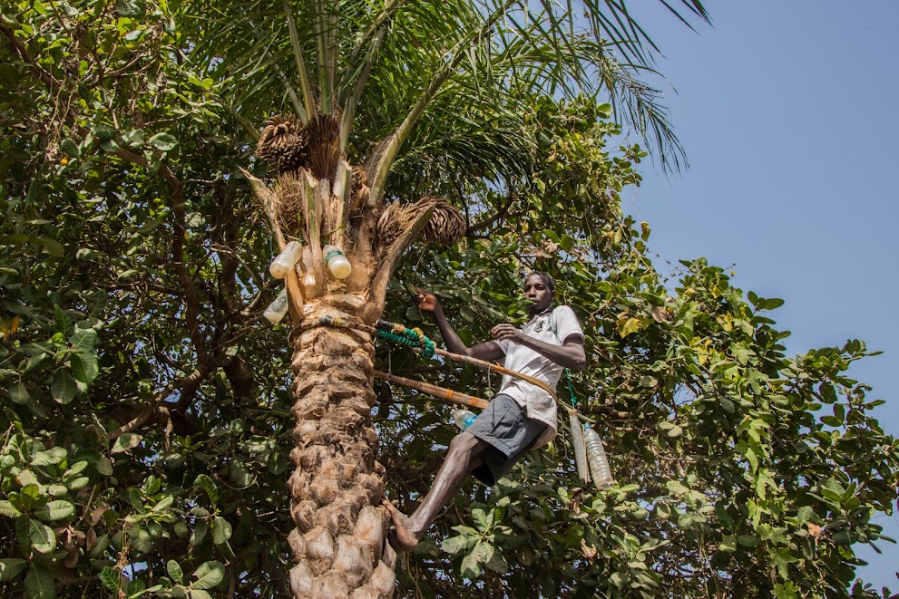 bezienswaardigheden-gambia