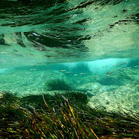 ma c'è l'acqua in Sardegna? di tomaso melis