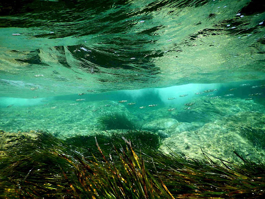 ma c'è l'acqua in Sardegna? di tomaso melis