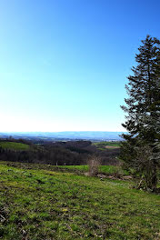 terrain à Saint-Héand (42)