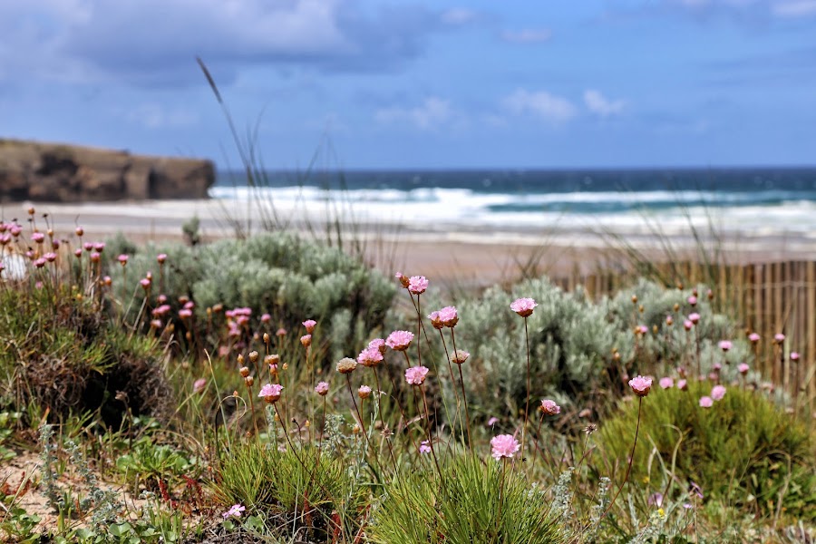 Costa Vicentina