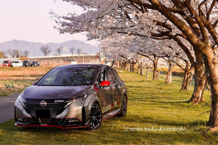 ノート オーラの桜×愛車・CanonEOSKissM2・FE13・桜・桜コラボに関するカスタム事例の投稿画像1枚目