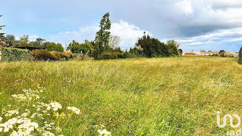 terrain à Luçon (85)