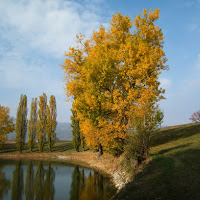 Pomeriggio d'autunno di 