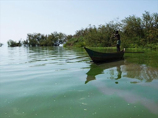 A man casts a fishing net off Dunga Beach in Kisumu./file