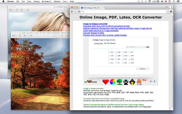 Image, OCR Converter chrome extension