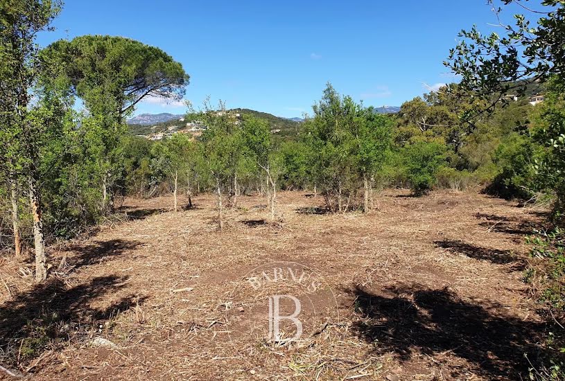  Vente Terrain à bâtir - 2 096m² à Sainte-Lucie-de-Porto-Vecchio (20144) 