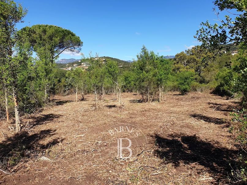 Vente terrain à batir  2096 m² à Sainte lucie de porto vecchio (20144), 615 000 €