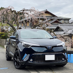 C-HR ZYX10