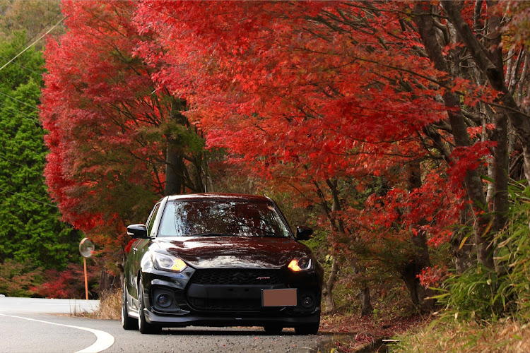 スイフトスポーツの紅葉と愛車・紅葉ドライブ・一眼レフに関するカスタム事例の投稿画像2枚目