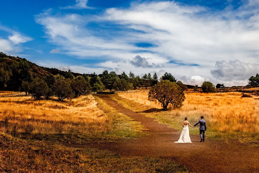 Wedding photographer Dino Sidoti (dinosidoti). Photo of 9 December 2016