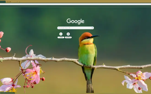 Bee-eater Preview 1