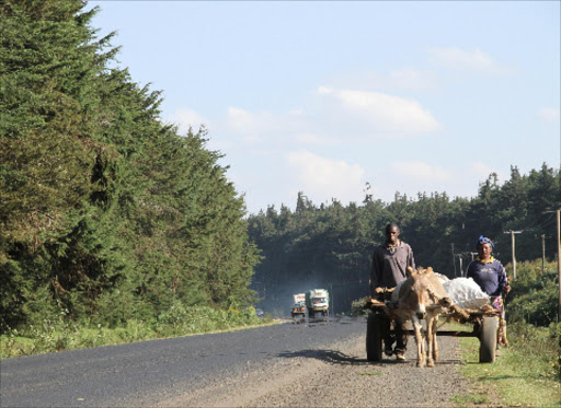 Kinale forest along Nairobi-Nakuru highway photo Duncan Ndotono