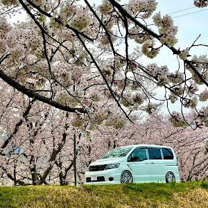 セレナ C25型