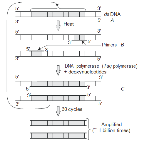 Processes of Recombinant DNA Technology
