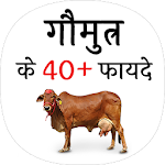 Cover Image of Download गौमुत्र के फायदे (benefit of Cow urine) 1.0 APK